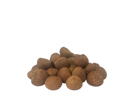 Dried Betel Nut (Red Whole) (Thai) (1 kg)