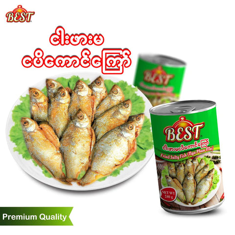 Best Fried Salty Fish Nga Pha Ma (ငါးဖားမ ငပိကောင်ကြော်) (240 g)