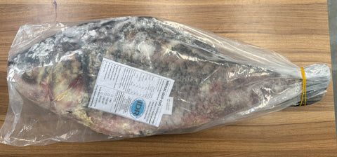 Frozen Katla (ငါးသိုင်းခေါင်းပွ) (Gibelion Catla) (GGS) (5 Kg up)