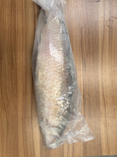 Frozen Mrigal (ငါးကြင်း) (Cirrhinus cirrhosus) (Whole) (GGS) (3 Kg up)
