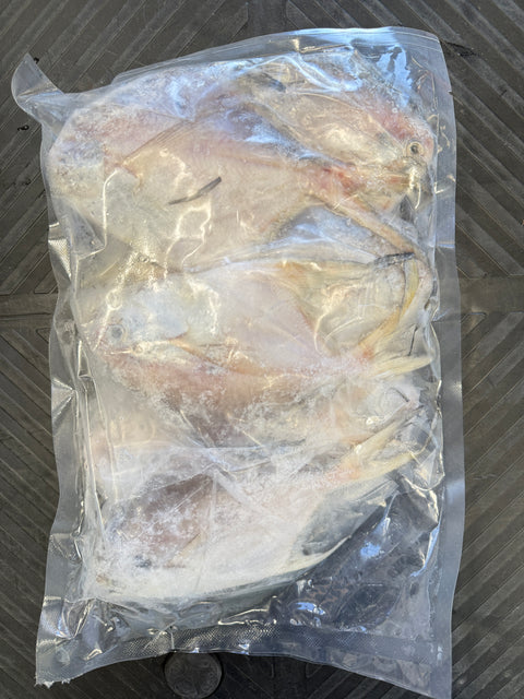 Frozen Sliver Pomfert (100 / 150) 14KG