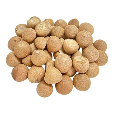 Dried Betel Nut (Whole) (Thai) (1 kg) Very White One