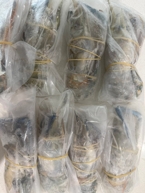 Frozen Whole Prawn ( Head On ) ( ပုဇွန်ထုပ် ခေါင်းပါ ) Individually Quick Frozen (8Kg)
